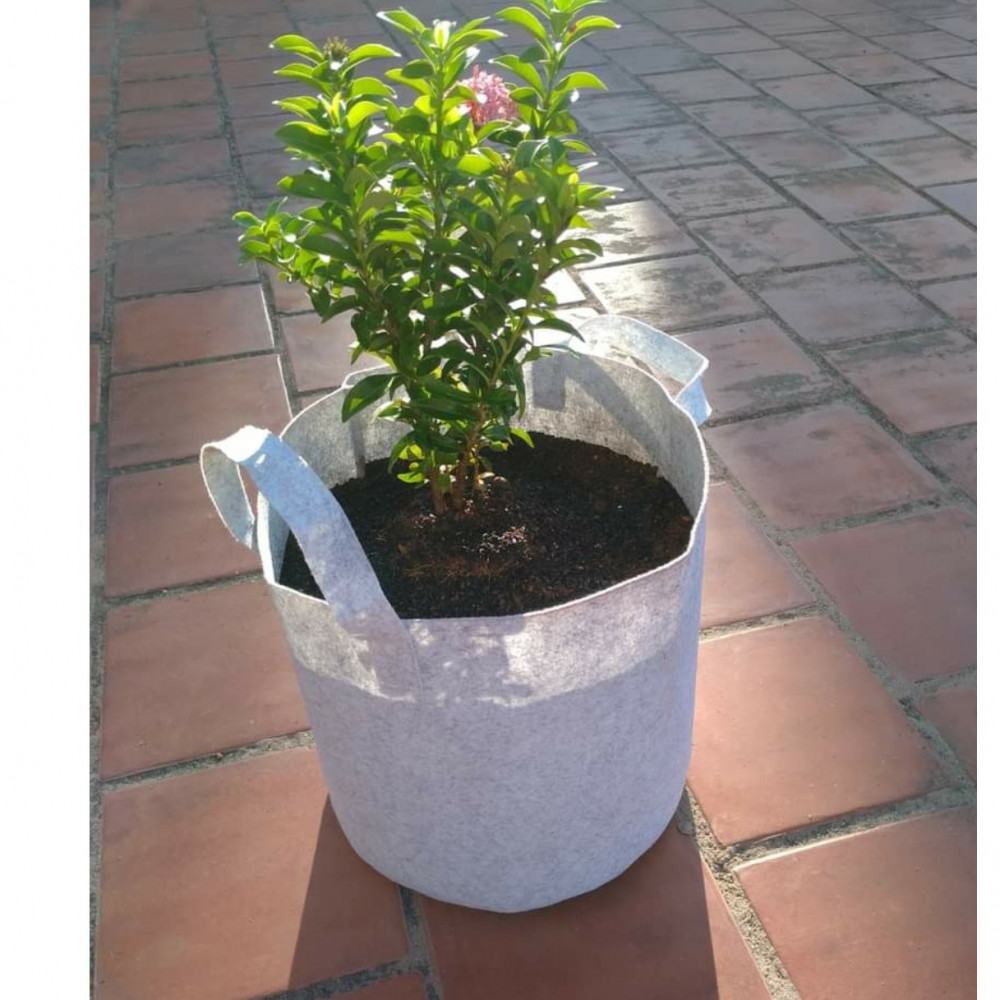 Fabric Grow bags 12*12( inches ) round shape 5 bags set - photo