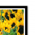 Sun Flower Glass Framed Wall Poster Large Size 13 X 19 INCHES - right_view
