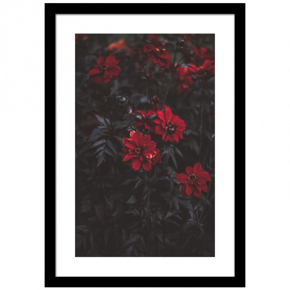 Blooming Petals Wall Poster Large Size Glass Framed - photo