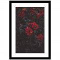 Blooming Petals Wall Poster Large Size Glass Framed - photo