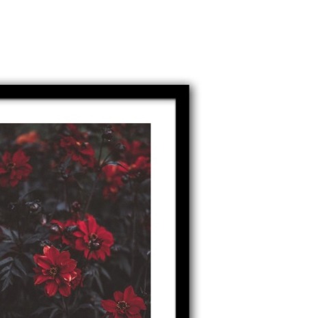 Blooming Petals Wall Poster Large Size Glass Framed - right_view