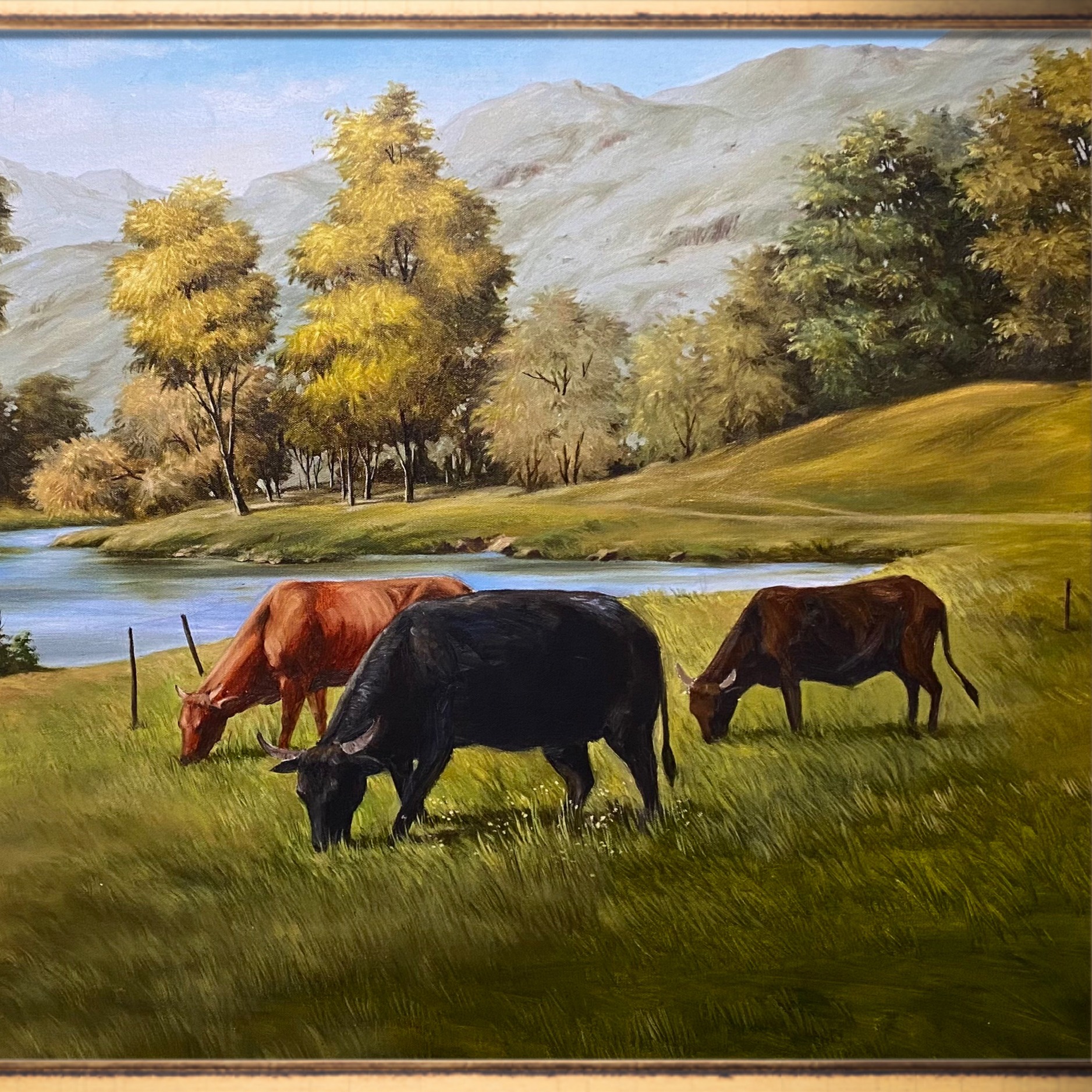 Water Meadow Landscape