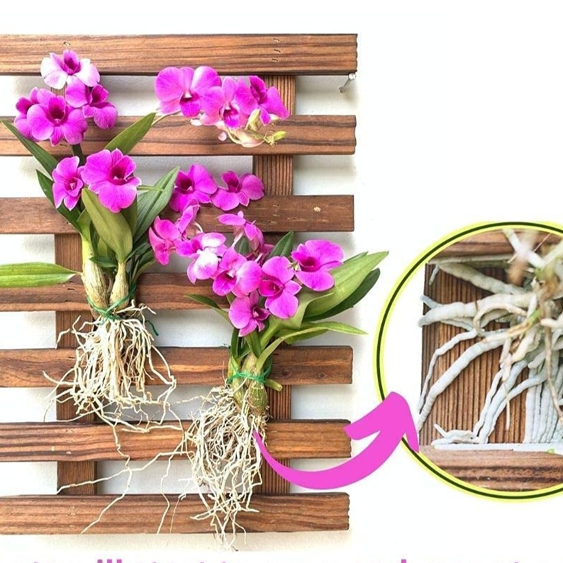 Wooden Hanging Planter (Set of 2)
