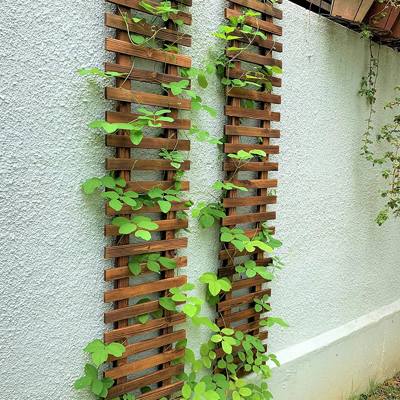 Wooden Hanging Planter (Set of 2)