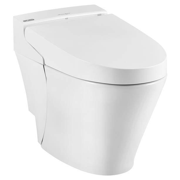 Wall Hung Seat By American Standard