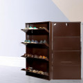 Bruges Wall Mounted Metallic Shoe Rack - photo