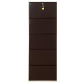 Sapa Powder Coated Infinity 5 Door Steel Shoe Rack - top_view