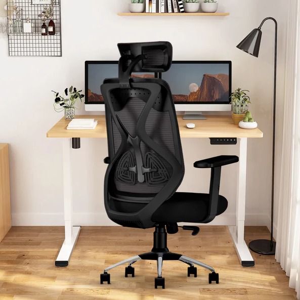 Ergonomic Mesh Executive Office & Home Chair (Black)