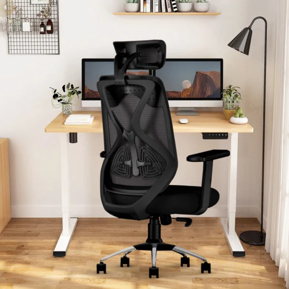 Ergonomic Mesh Executive Office & Home Chair (Black) - photo